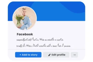 facebook bio style