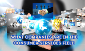 what companies are in the consumer services field